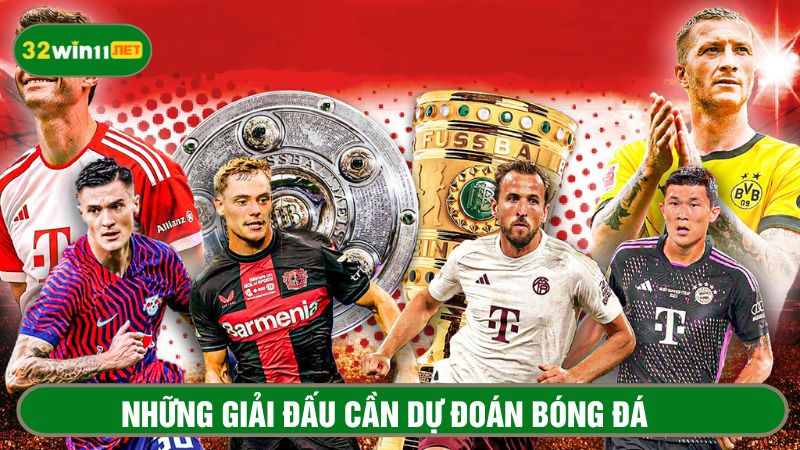 Giải bóng đá Đức có nhiều thông tin để tra cứu